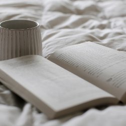 BirchLiterary's profile picture. We are a boutique literary agency.