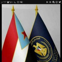 Omer Alamoudi (@omer63787494) 's Twitter Profile