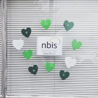 Nanaimo Brain Injury Society (@brainnanaimo) 's Twitter Profile