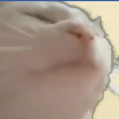 Cookm61811's profile picture. Baking
Weightlifting