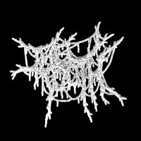 The Tooth (@thetoothokc) 's Twitter Profile
