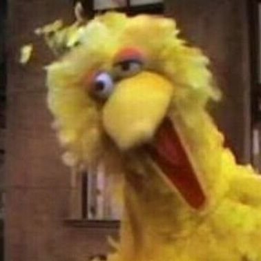 Iaintsayshi's profile picture. Don't fuxkin talk to me.