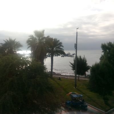 Marco8906121's profile picture. Desde la Barriga de mi madre y por tradición Alianza Corazón 💙💙.