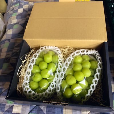 Rn0biT9CxnRrzdM's profile picture. 山形県南陽市　ぶどう専門果樹園　たまに猟師

2021年よりシャインマスカット限定でネット販売します。