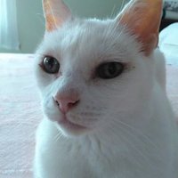 Nancy (@nancygares15) 's Twitter Profile