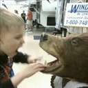 Carla Harper - @CRaeHarper - Twitter