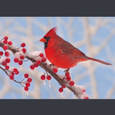 MelStuart9's profile picture. Data Analyst , Using #ML #AI #DataViz to improve predictive powers of #classifiers. 🌐 #WWT
 ♥ #spreadsheets #nft #SaveBletchley