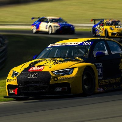 14yo | Driver for @FiercelyForward competing on @iracing