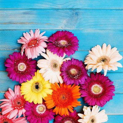 CarolPossato1's profile picture. 