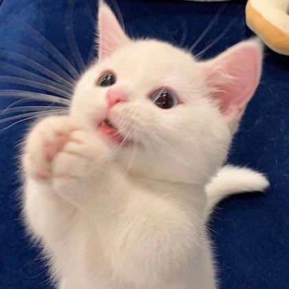 vvvvvvvvv_5's profile picture. 🤍