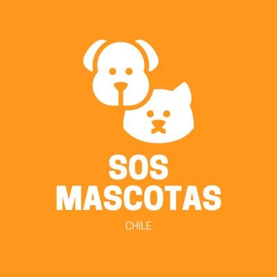 ¿Tu mascota se perdió? ¿Quieres adoptar? Apoyamos la difusión de info relacionada al rescate y la adopción animal en Chile. 📧 sosmascotascl@gmail.com