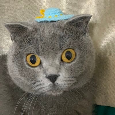 monsteryyzyyz's profile picture. 我就是来看涩图的