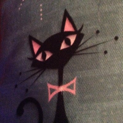 midmod_kitty's profile picture. 