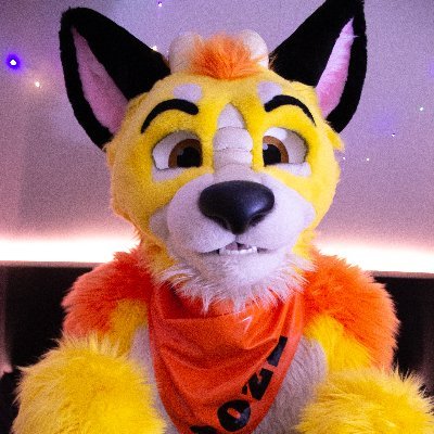 Just an ordinary yellow fox (or dragon?) who is derped up in randomness & beer.
https://t.co/8zjVQ59Jc9
(Fursuits by @roofur & @MiniWolfArts)