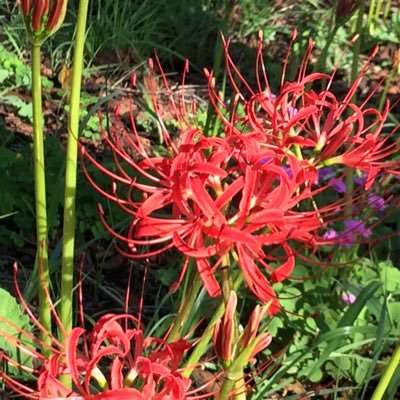 ohagi_book's profile picture. 小説、ビジネス本、自然科学など色々読んでいます。休日に本屋さんに出かけるのが好きです。読書好きの方と繋がりたいです！好きな作家さんは有川浩さん、重松清さんです📚