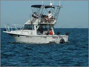 WHITECAPFISHING's profile picture. Sport Fishing lake Ontario, via 30 foot Penn Yan Persuader flybridge for trout, salmon, steelhead. Every trip is an adventure.