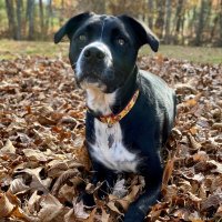 clarice (@bequiaforever) 's Twitter Profile Photo