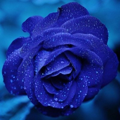 当サイトは芸能に関する情報の5chやTwitterの声をまとめています。サイトURL・・・ https://t.co/CUkVqoN8z7
RSSURL・・・https://t.co/FVuKkQYFe7