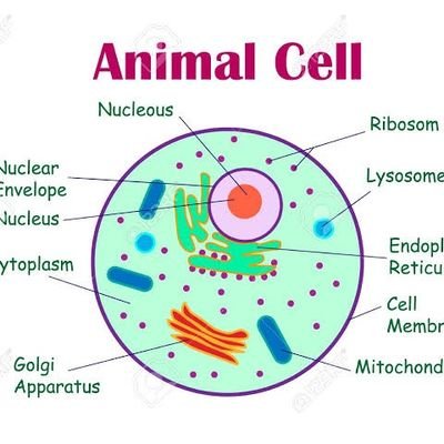 MHaroon42851584's profile picture. bio