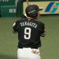 MINAMI🐬⚾️鷹燕党🦅💜☂️🍡🦊🐧(4/25～27 楽天ﾓﾊﾞｲﾙﾊﾟｰｸ宮城) (@takatsubame_373) Twitter profile photo