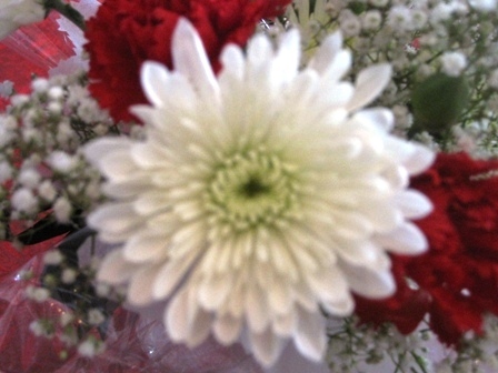 MiscellaneousRB's profile picture. Freelance writer on many subjects. Looks for bright side of life! Kids Poetry