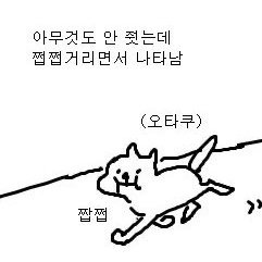 jjupjjup913's profile picture. 이것저것잡식소녀