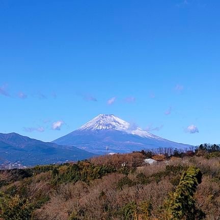 30代エンジニアで2児の父
コロナ禍も家族との休日を満喫しています
投資初心者で、仕事の合間にyoutube, twitterで勉強中
資産1億円・55歳でのFIREを目指しています
趣味はロードバイク, 日本酒, コーヒー, 庭いじり