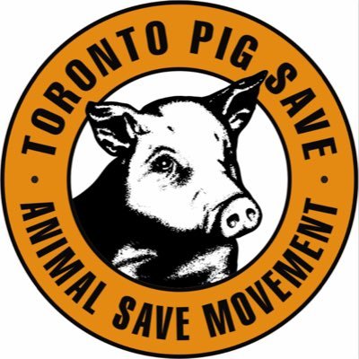We ##BearWitness to animals at slaughterhouses with the aim of creating vegan activists & passing a @Plant_treaty TorontoPigSave@gmail.com