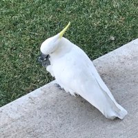 John (@john_is_silly) 's Twitter Profile