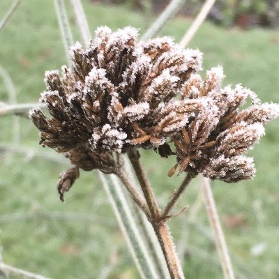 fozziemore's profile picture. Hello, I'm Nicola this my old account .