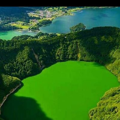 ws6ePIDpZdJL2vU's profile picture. 