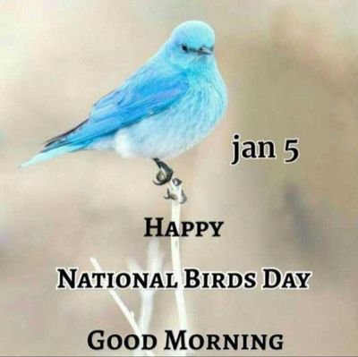 gnanadason's profile picture. Worked at the World Council of Churches, Geneva 1991-2009. Live in Chennai, India. Eco-feminism, social, economic justice and theology.