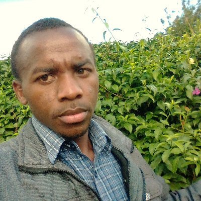 NyutheC's profile picture. C.E.O PEARL LIMITED