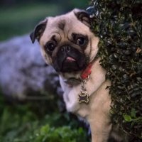 sttrc (@sttrc1) 's Twitter Profile