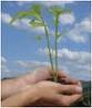 eco_innovation1's profile picture. eco innovations news