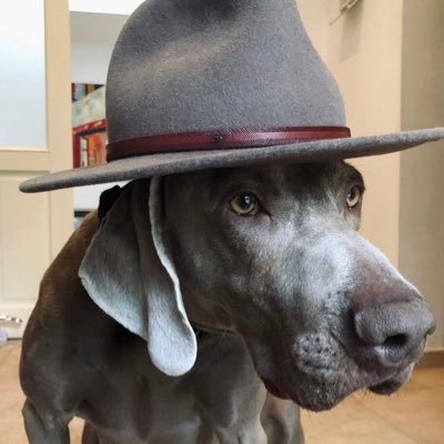 leo_black90's profile picture. Discord 🚀  leoblack #9999