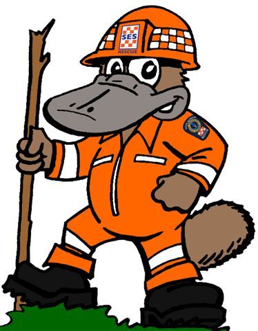 SES volunteer who enjoys traveling across SA giving people advice on how to stay safe during floods and storms. Keen swimmer when not busy with SES duties.