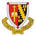 St Mungo's HS (@StMungosFalkirk) Twitter profile photo