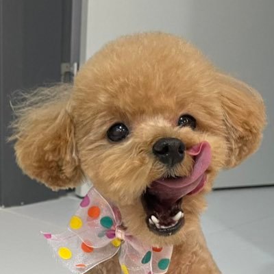 Ingiko's profile picture. 