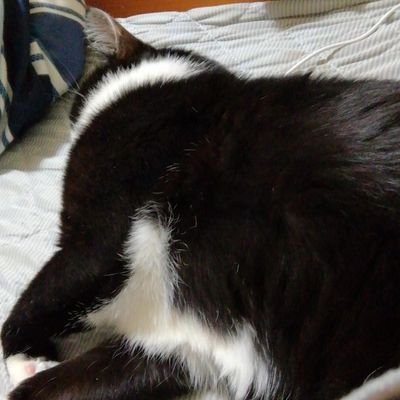 sNfjsU6F9qCbqSF's profile picture. 仲良くしよ