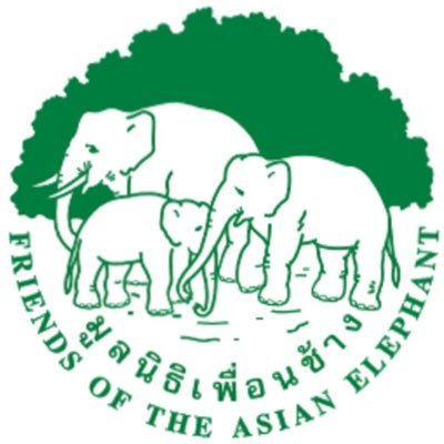 Friends of the Asian Elephant : World's first Elephant Hospital