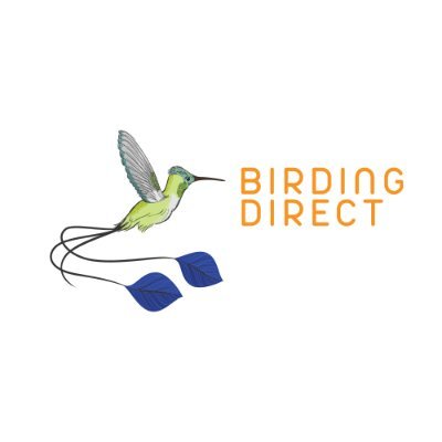 BirdingDirect Profile Picture