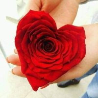 truth (@truthnr) 's Twitter Profile Photo