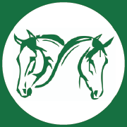 Forage Analysis (Hay, Haylage, Grass), Mineral Balancing, Bespoke Feed Plans, Supplemental Minerals & Balancers.
