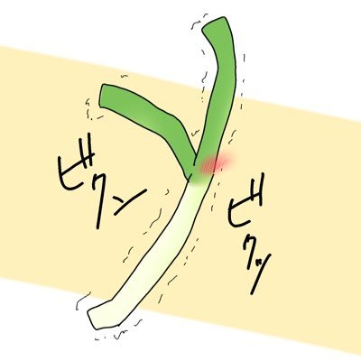 鴨さんのプロフィール画像