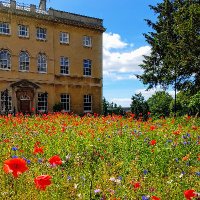 Bristol Ecology (@bristolecology) 's Twitter Profile Photo Bristol Ecology (@bristolecology) 's Twitter Profile Photo