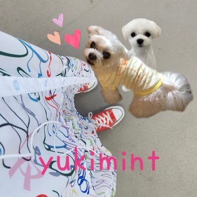 🐶ミント2002.02.04.→2018.07.20.で虹の橋へ🌈 🎂2020.07.14→🐶ポム✂️トリマー・動物看護師✧福山雅治さん♡BROS.♫👑CLUBGNU🐃20'11/25武道館21'11/28たまアリ12/15代々木22'6/25.26幕張etc...⭐︎フォローの際は一言お願いします🐹💜