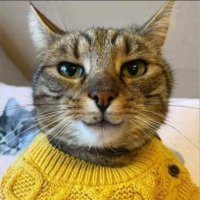 Fixr (@fixrum) 's Twitter Profile