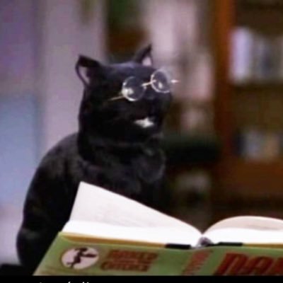 cheJoakin's profile picture. militante del lumpenaje