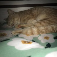manfrom.nowhere_94 (@94bebetter) 's Twitter Profile